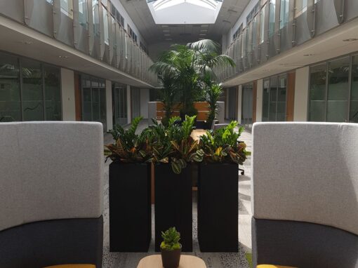 Carrwood Park Serviced offices, Third Space biophilic interior design 1