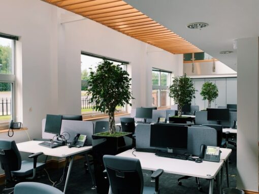 Open Plan Office 1 The Annex, Carrwood Park Office refurbishment, acoustic interior design,