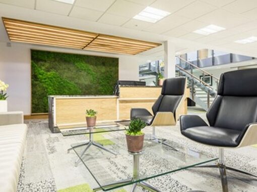 Carrwood Park Serviced office Interior Design, Reception Counter, waiting area and biophilic acoustic wall
